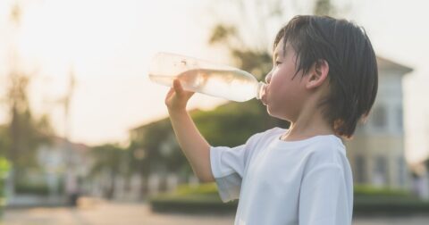 生命は「水」だけでは生きていけない？…体の90％以上を構成する“もう一つの主役”の正体 – アメリカの中学生が学んでいる 14歳からの生物学