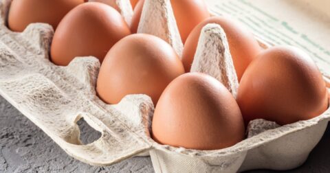 【小児科医が教える】健康によいベストな朝食は、「半熟卵」「固ゆで卵」どっち？ – 医師が教える 子どもの習慣 50の基本