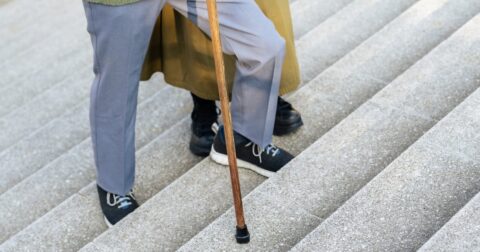 年をとると身体が動かなくなるのはなぜか？…機械のように体を支える“よくできた仕組み” – アメリカの中学生が学んでいる 14歳からの生物学