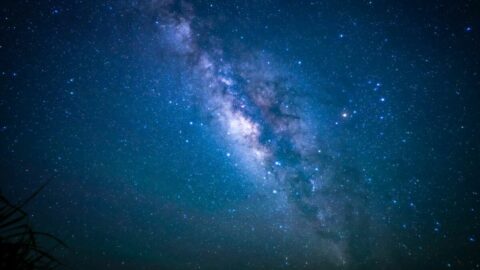 ｢翻訳機があるから英語は覚えなくていい｣の落とし穴　｢天の川｣｢牛｣｢マナー｣に隠れた語学の隠れたメリット | ライフ | 東洋経済オンライン