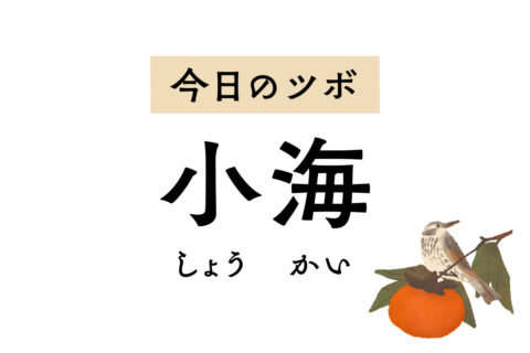 「小海」は不安感、耳鳴りや難聴、頬の腫れや歯痛、肩や背中の痛みを軽減するツボ
