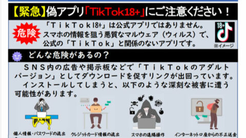 PayPayから勝手に送金される恐怖──偽アプリ｢TikTok18＋｣がスマホの操作権限を奪う巧妙な手口 | ビジネス | 東洋経済オンライン
