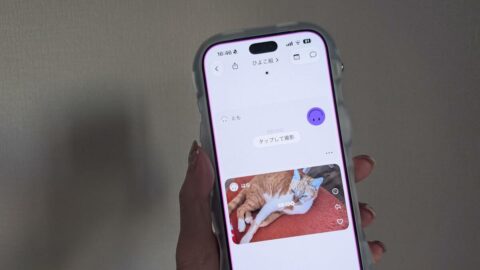 看護師2人が懲戒解雇､患者の無断撮影動画が流出した｢setlog｣とは何か､仲間内限定SNSに潜む落とし穴 | ビジネス | 東洋経済オンライン