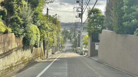 ｢崖上で水害の心配なし｣｢坂だらけで23区内なのに車必須？｣…世田谷区にある｢代々のお金持ちがひっそり住む街｣の実態 | ライフ | 東洋経済オンライン