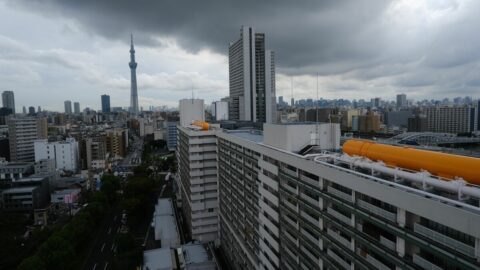 墨田区の｢巨大団地の地下にある”驚きの空間”｣全長1.2キロある《白鬚東アパート》内部に広がっていたフシギな光景 | ライフ | 東洋経済オンライン